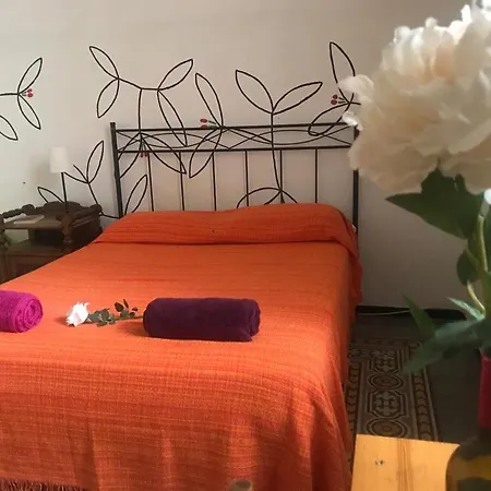 Pensión Mahalo Healthy House Las Palmas de Gran Canaria