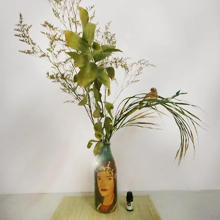 Mahalo Healthy House Pensión *