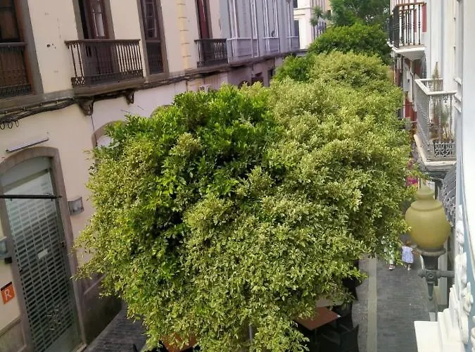 Mahalo Healthy House