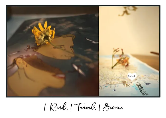 Mahalo Healthy House Gasthuis Las Palmas