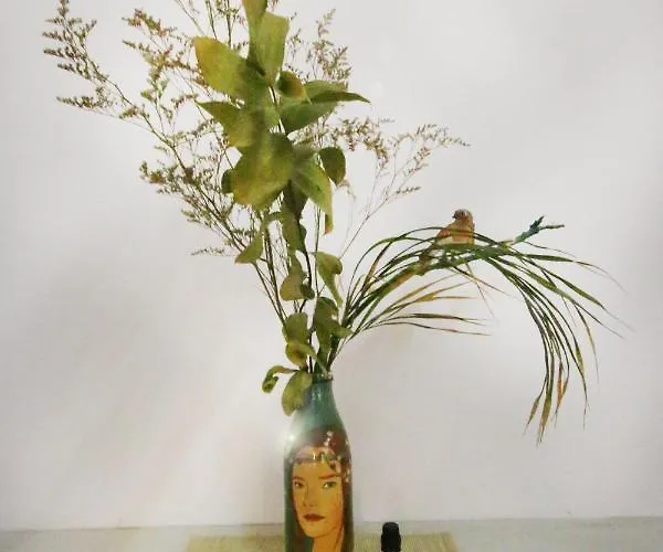 Mahalo Healthy House Gasthuis *